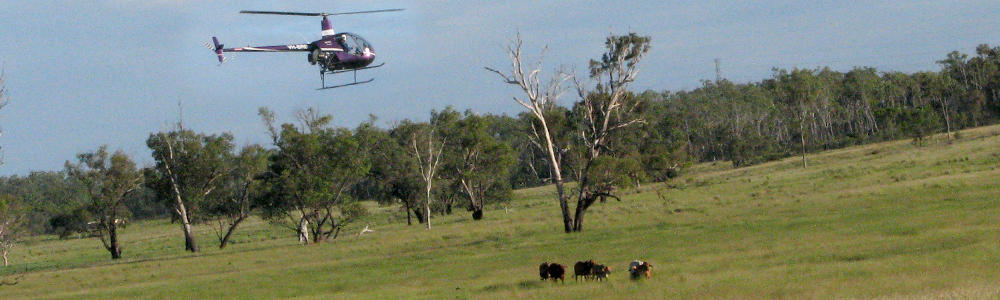stock-mustering